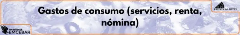 Gastos de consumo (servicios, renta, nómina)