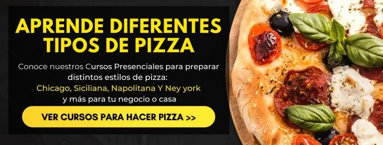 Diferentes tipos de pizza 